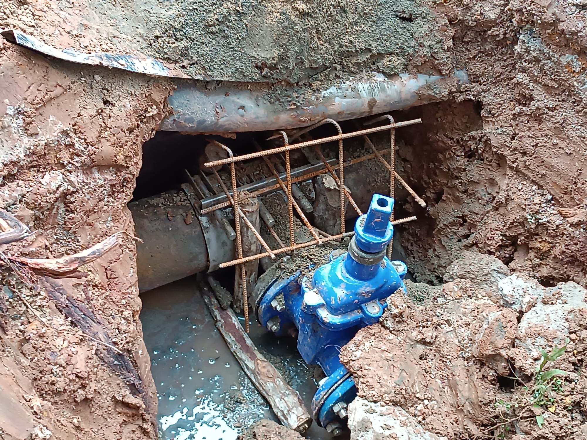 Picture10